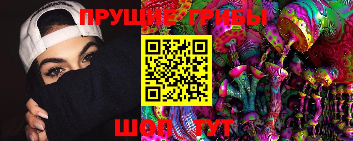 Галлюциногенные грибы Psilocybine cubensis Лобня