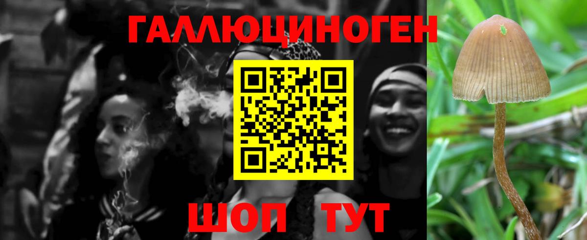 Псилоцибиновые грибы Psilocybe  Вход с VPN  Галлюциногенные грибы мухоморы  Лобня 