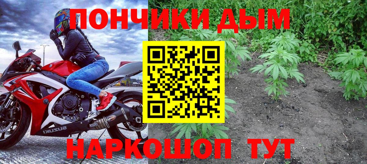 Канабис SATIVA & INDICA  Бошки Шишки OG Kush  Лобня  Вход с VPN  Шишки марихуана план 